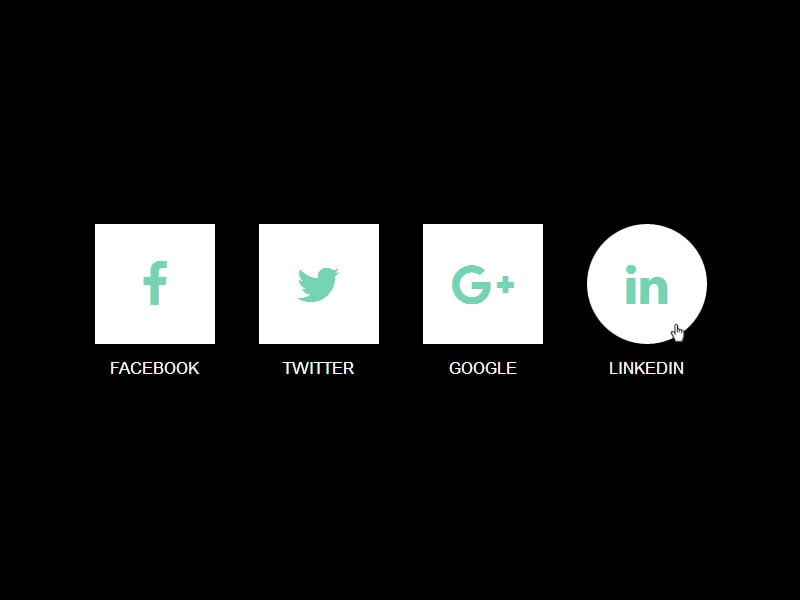 square to circle social icons